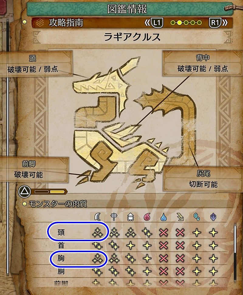 肉質の弱点画像1枚目